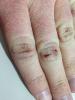 post-185-0-23061600-1484784196_thumb.jpg