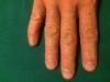 post-2009-0-53663600-1516317873_thumb.jpg