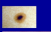 post-2050-0-93841100-1516613414_thumb.png