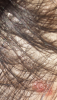 post-2188-0-15104400-1516725442_thumb.png