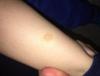 post-2415-0-86574400-1517222634_thumb.jpg