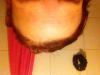 post-221-0-67818300-1487701659_thumb.jpeg