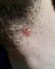 post-26-0-10073700-1520424733_thumb.jpg