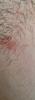post-26-0-13329700-1520514504_thumb.jpg
