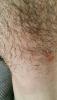 post-26-0-54241300-1520514514_thumb.jpg