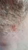 post-26-0-93297400-1520424690_thumb.jpg