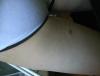 post-282-0-08415800-1492880136_thumb.jpg