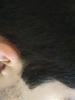 post-5092-0-73918400-1522661206_thumb.jpeg