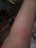 post-3149-0-13064500-1527577101_thumb.jpg