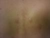 post-44-0-13247000-1469778820_thumb.jpg