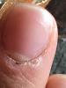 post-362-0-19234500-1499777695_thumb.jpg