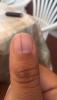 post-377-0-44440200-1503507297_thumb.jpg