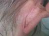 post-160-0-00855700-1535018609_thumb.jpg