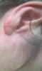 post-160-0-32145500-1535018608_thumb.jpg