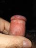 post-51-0-63452400-1535614242_thumb.jpg