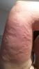 post-388-0-19044400-1504712657_thumb.jpg