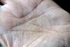 post-153-0-27689500-1507550738_thumb.jpg
