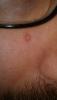 post-51-0-80370800-1508936398_thumb.jpg