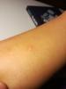 post-121-0-78621600-1509656902_thumb.jpg