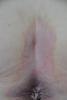 post-153-0-20553800-1483009272_thumb.jpg