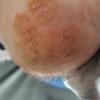 post-1121-0-71630100-1513245263_thumb.jpg