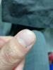 post-121-0-15708700-1514039876_thumb.jpg