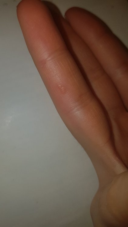 20190110_192228.jpg