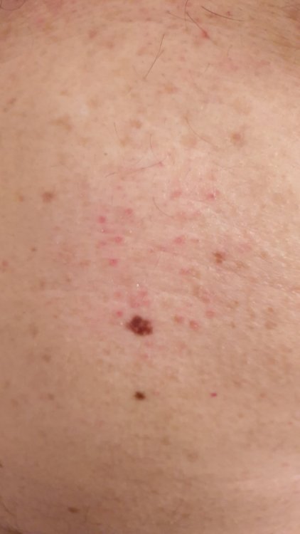 20190221_213126.thumb.jpg.ed76f0a6edeecafd3ca85701731a7af0.jpg