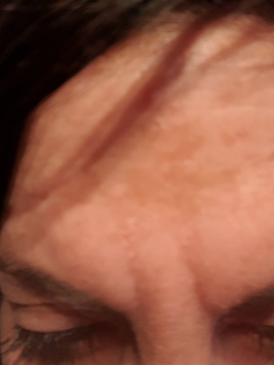 20190303_135613.thumb.jpg.211d18712451e07fbfb8c3c6512c2743.jpg