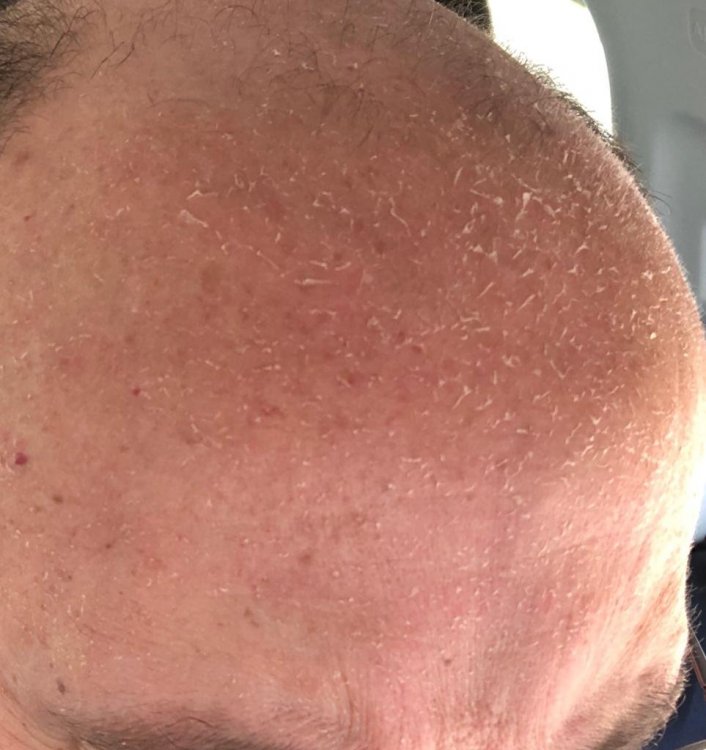 WhatsApp Image 2019-03-15 at 21.30.11.jpeg