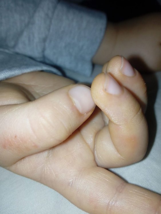 IMG-20190306-WA0007.jpg