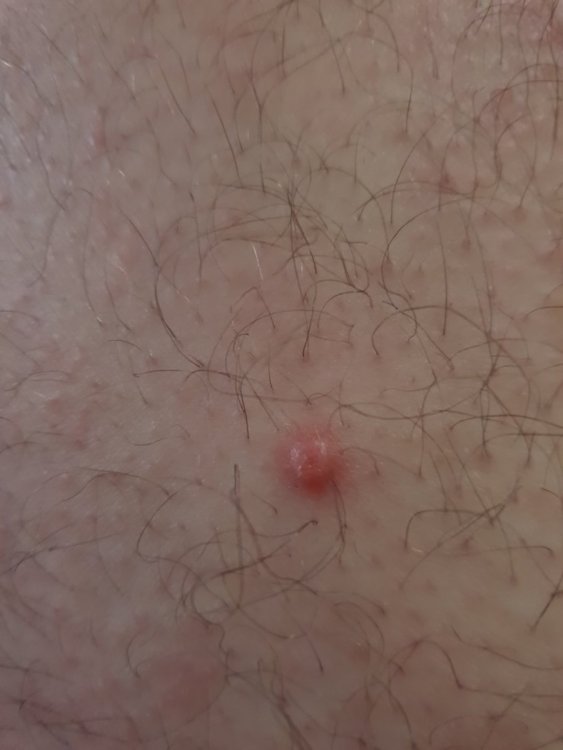 20190405_164242.jpg