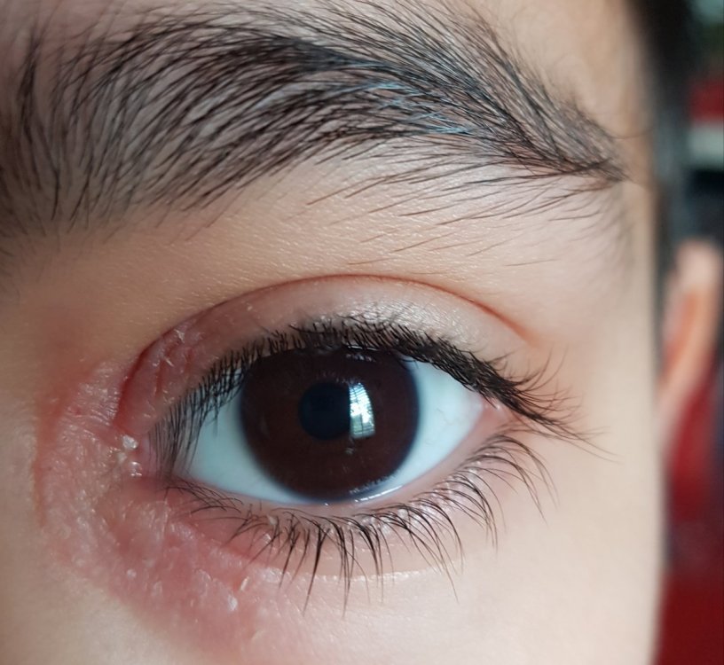 20190413_101239.jpg