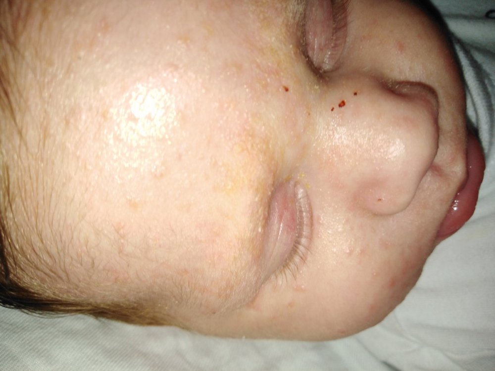 15588917745602629148497371939036.thumb.jpg.3a74c794d0d95eec6984f6923c35fe68.jpg