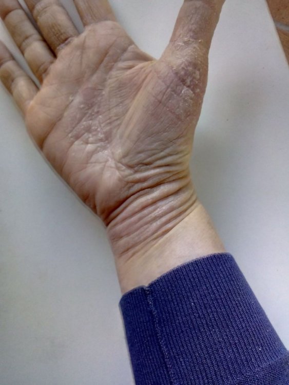 1813948412_foto2maggio.thumb.jpg.2219dd283a66d4162773e235be283b64.jpg