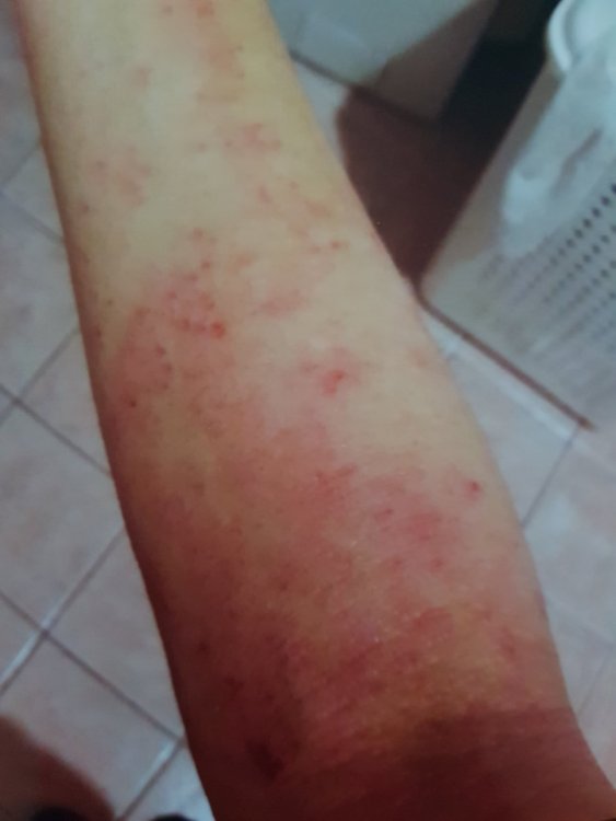 20190511_181620.jpg