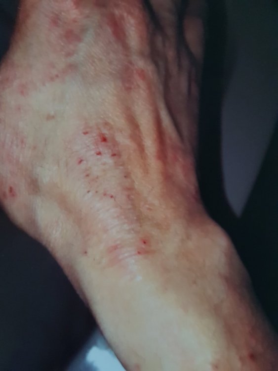 20190511_181635.jpg