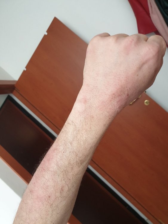 20190410_095410.jpg