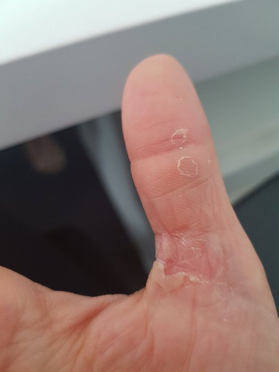 20190626_091747.jpg