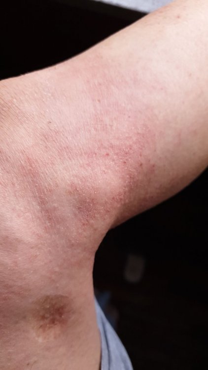 IMG-20190308-WA0002.jpeg