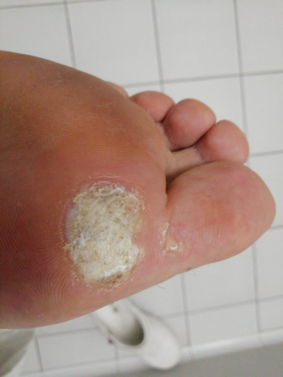 15626641413428758321048245292583.thumb.jpg.73e37d0ab98255a8b91d2ea717de70ca.jpg