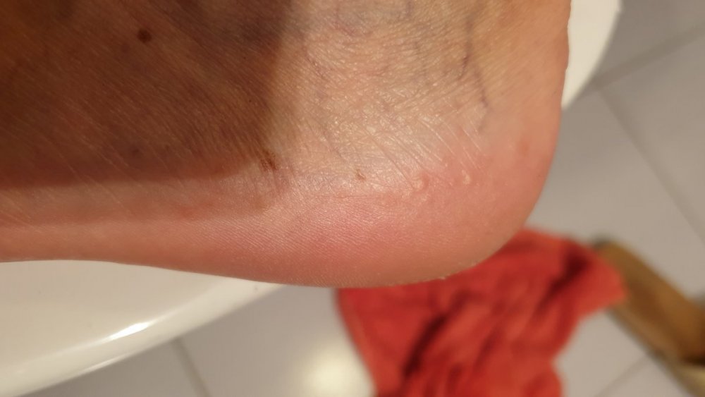 20190709_233324.jpg