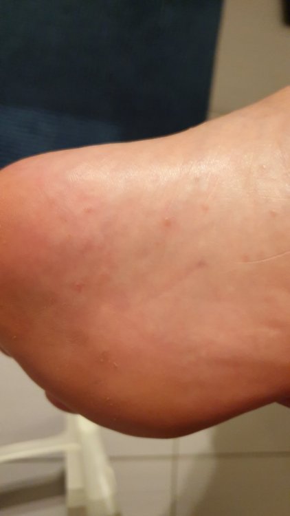 20190709_233508.jpg