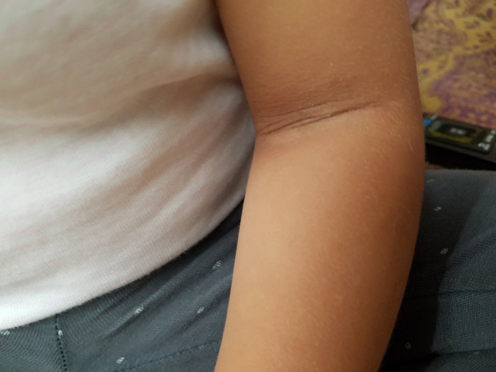 20190715_211906.thumb.jpg.f4503c700c74b752c8fe50fc6a155378.jpg