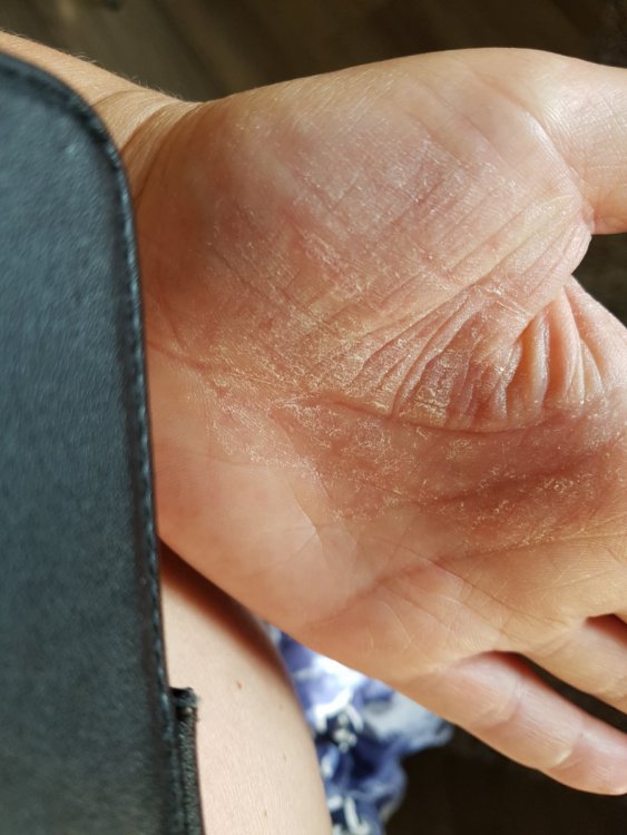 20190724_084504.thumb.jpg.bb9263512294ed4ea29210e679866785.jpg
