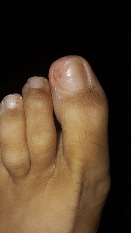 20190731_140230.thumb.jpg.8440a2170c4421dd7443c0d5ee720944.jpg