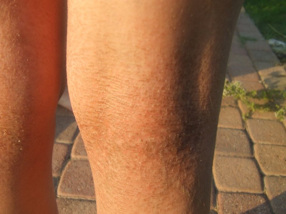GAMBE1.JPG