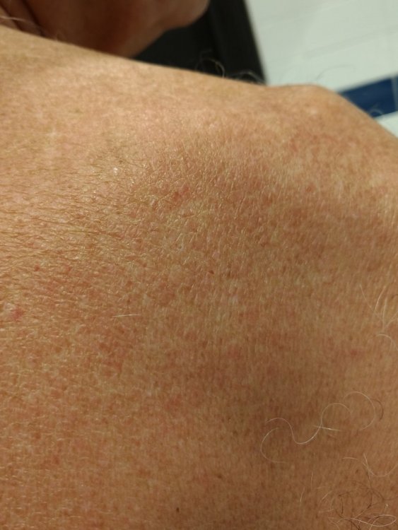 P_20190719_134758_vHDR_Auto.jpg
