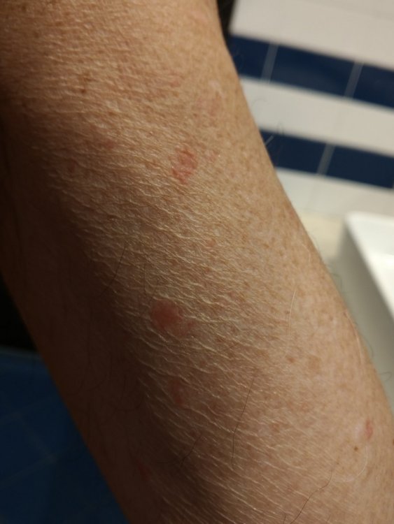 P_20190719_134829_vHDR_Auto.jpg