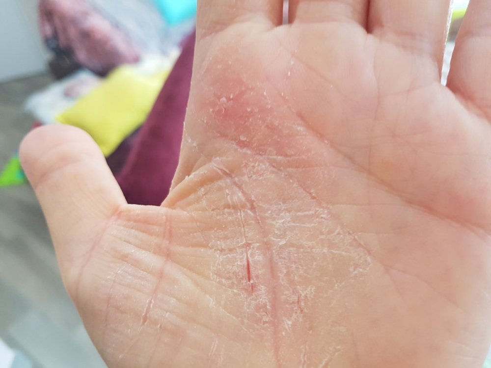 20190805_102956.jpg